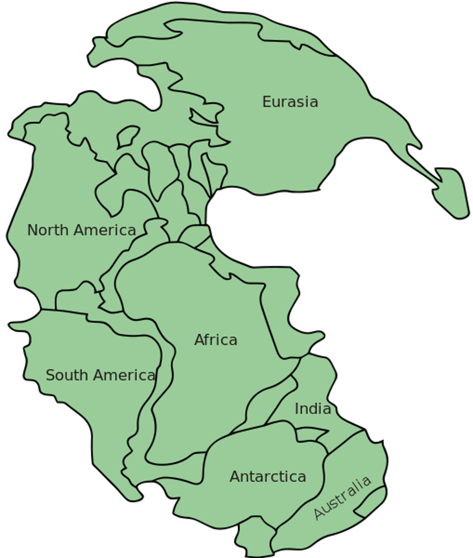 Pangea | Author: Wikipedia