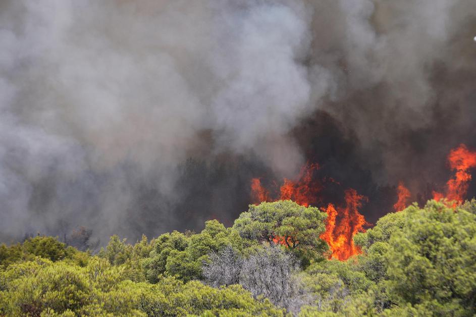 Šibenik: Gori borova šuma u blizini bolnice i obiteljskih kuća