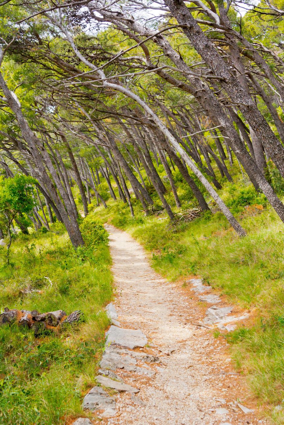 Path between Makarska town and Nugal beach, Makarska, Dalmatia, Croatia | Author: Profimedia