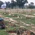 Israel-Hamas War 2024: Reim Massacre Memorial