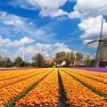Vjetrenjače u Nizozemskoj