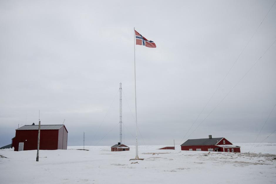 1013972618 | Author: 