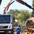 Osekovo: Krave na OPG-u Zdravka Kabića ugibaju od antraksa