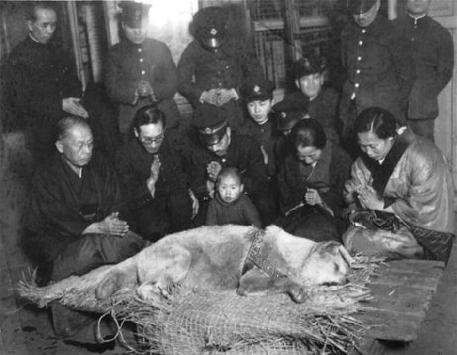 Pogreb Hachika, odanog psa štovanog u Japanu, 1935.