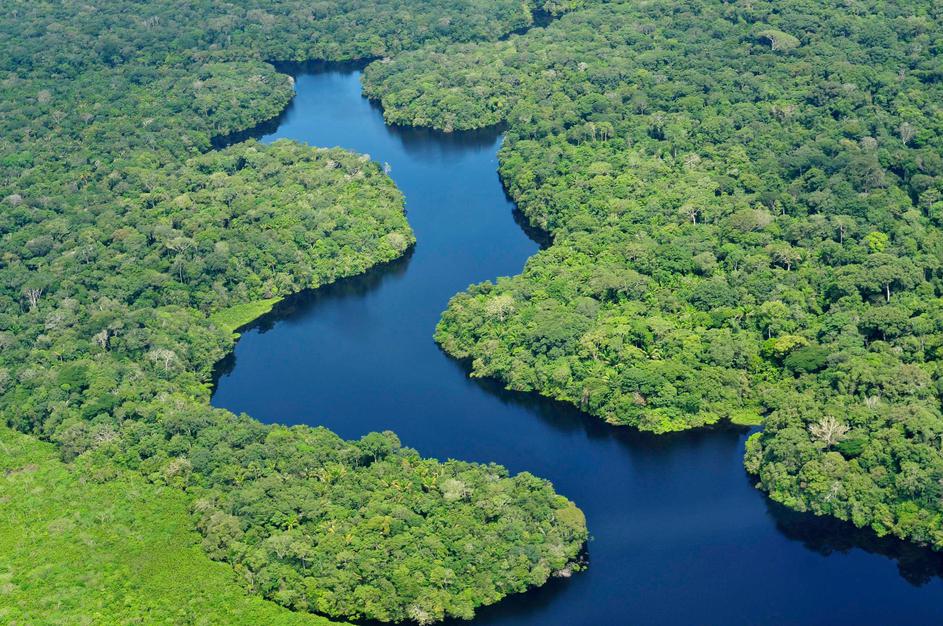 Amazonska prašuma