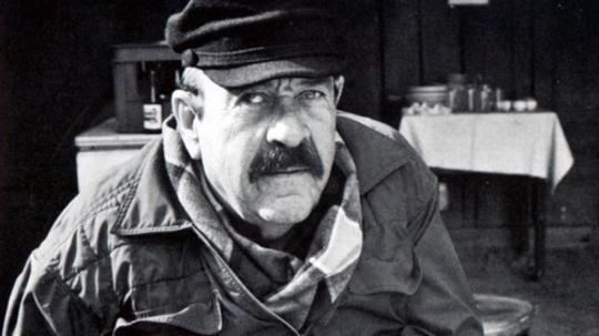 Pavle Vuisić