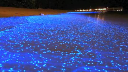 Vaadhoo na Maldivima