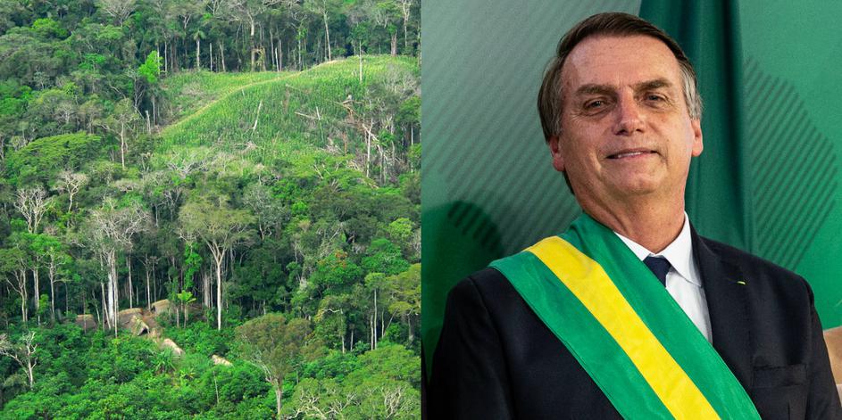 Amazona i Jair Bolsonaro