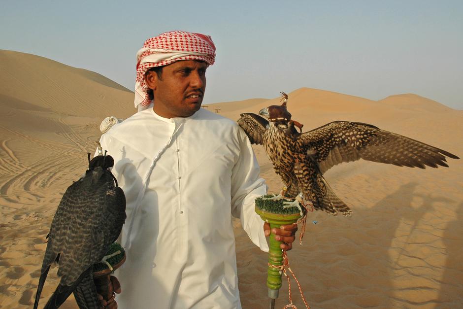 Sokolaranje u UAE | Author: Flickr