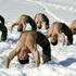 Južnokorejski vojni komandosi, tjelovježba u snijegu