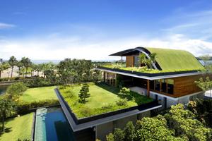 Zelena kuća