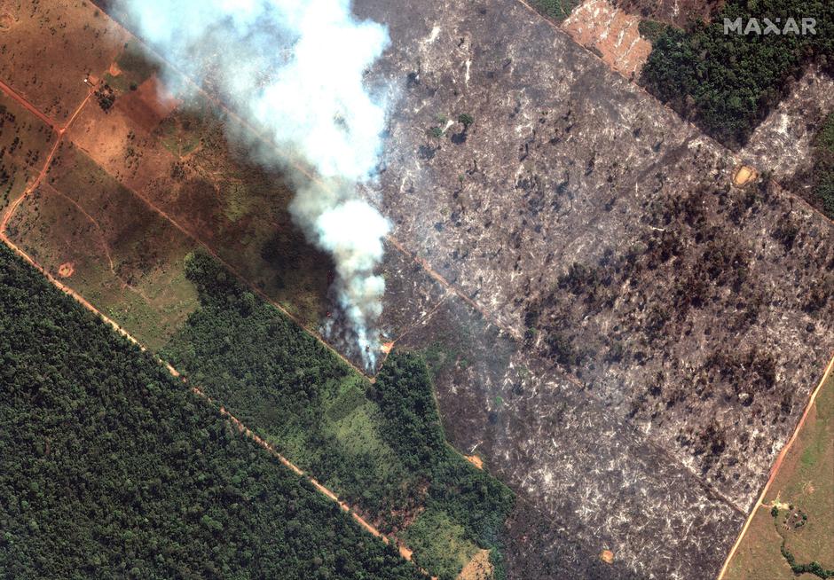 Uništavanje Amazone | Author: REUTERS