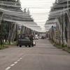 Ukrainian Military Vehicles Travel Through Donetsk Region - Ukraine