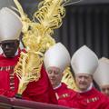 ITALY -  PALM SUNDAY ,ASS IN THE VATICAN  - 2025/4/13