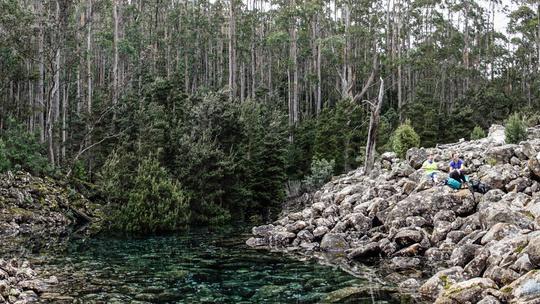 Disappearing Tarn, Tasmania, Australija