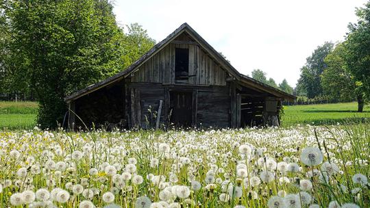 Napuštena farma