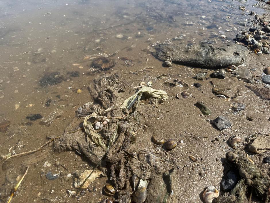 A construction worker at the launch of the first mass wet wipe removal from a UK river, organised by Thames Water to clear the 'Wet Wipe Island' on the River Thames near Hammersmith Bridge, west London. Picture date: Monday August 11, 2025. | Author: Profimedia