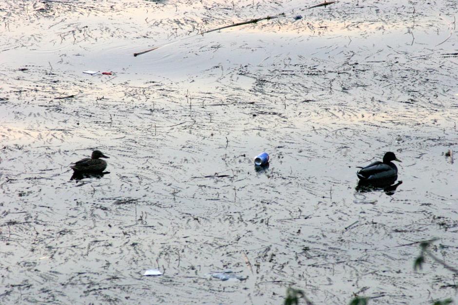 Zagađenje na obali Nila | Author: Flickr