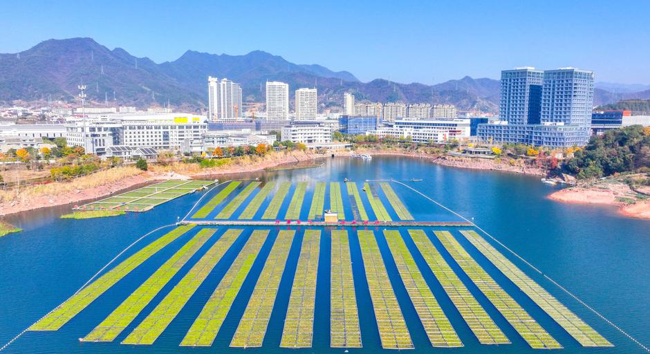 HANGZHOU, CHINA - DECEMBER 06: Aerial view of workers growing water celery (oenanthe javanica) on ecological floating be | Author: Profimedia