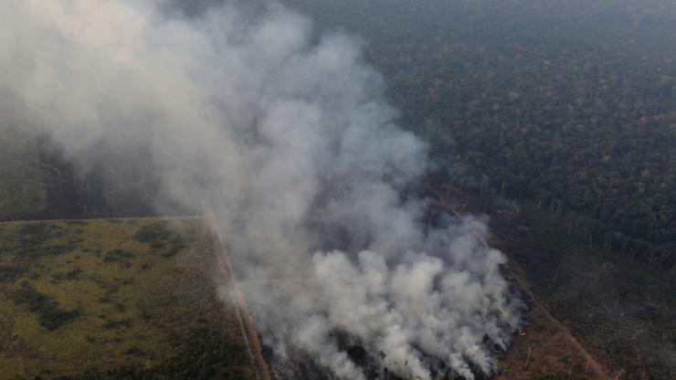 Amazonska prašuma u plamenu