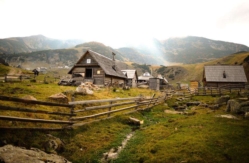 351377712 | Author: Profimedia