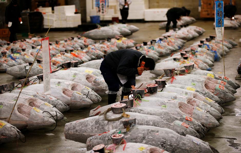 Fish market Tsukiji u Tokiju | Author: REUTERS
