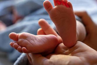 Feed/24Sata-News/2026-36/Thorstenf-Baby-4077353.Jpg