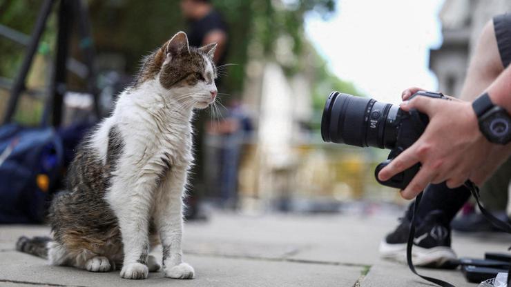 Westminster Scenes