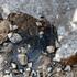 The last piece of glacier ice is seen on the highest mountain in Slovenia, Mount Triglav