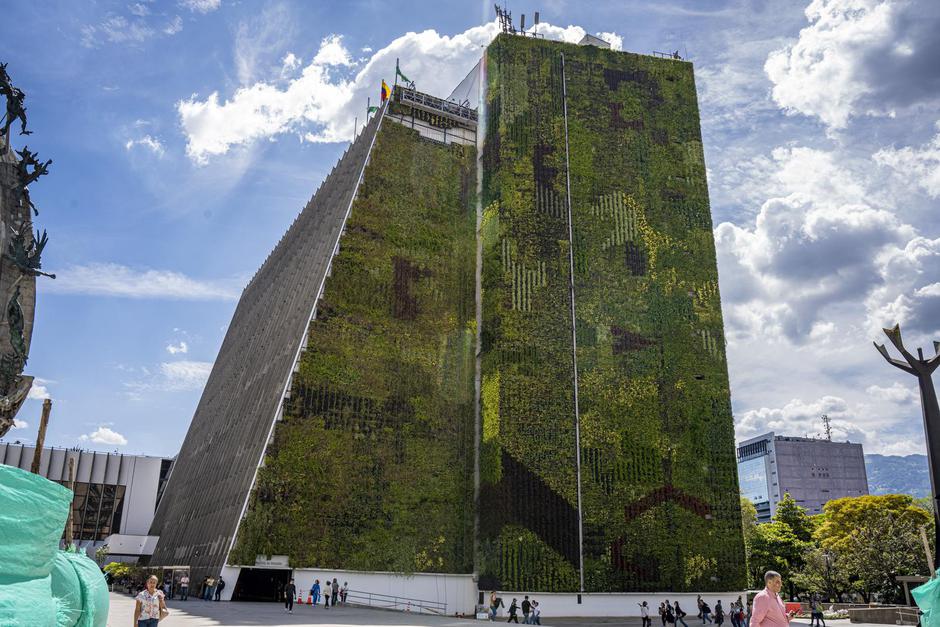 Vertical greening in Medellín | Author: Edinson Arroyo/DPA