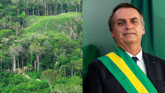 Amazona i Jair Bolsonaro