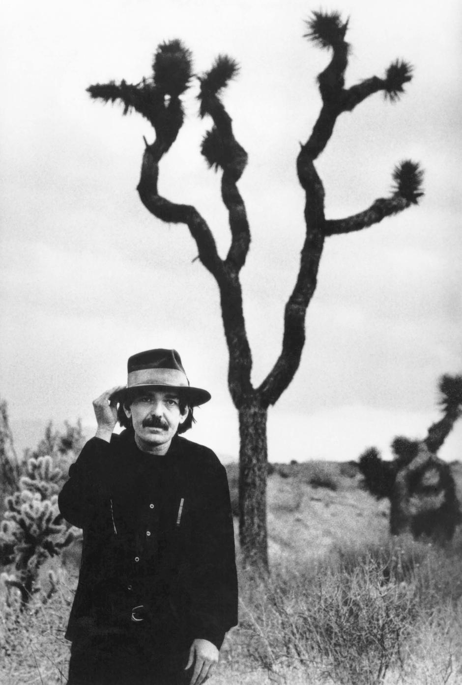 Don Van Vliet, Captain Beefheart, celebrity, musician, | Author: JT Vintage