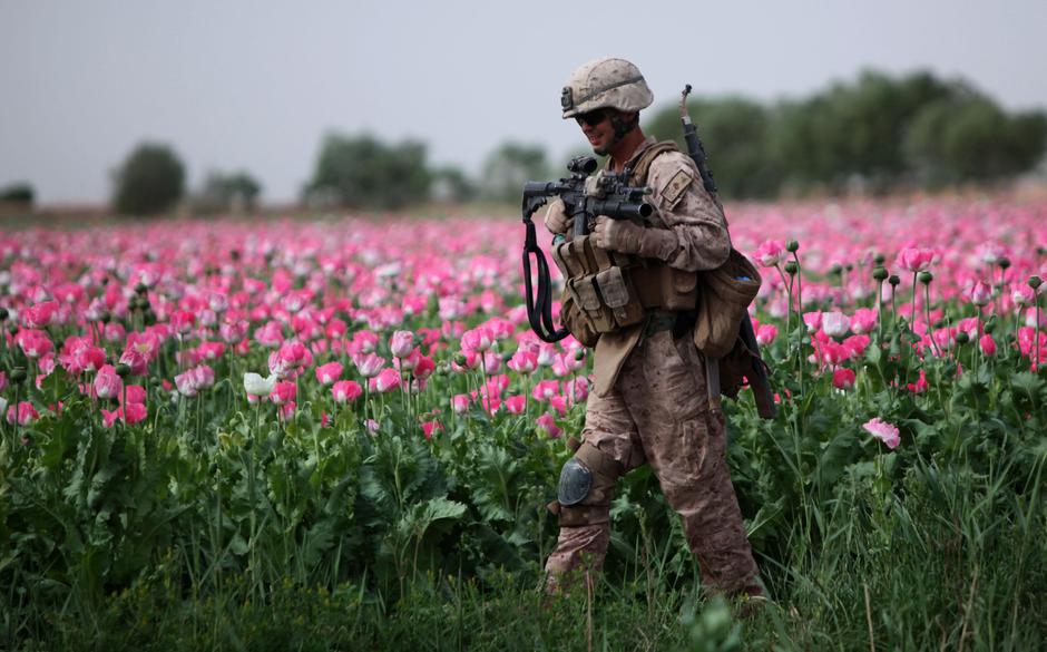 Američki marinac u polju opijumskog maka u Afganistanu | Author: ResoluteSupportMedia/ Flickr/ CC BY 2.0