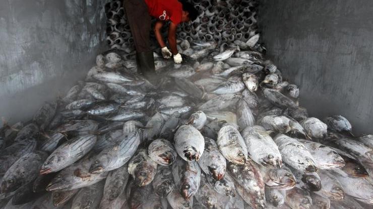 Ribolov u Indoneziji