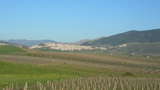 Sambuca di Sicilia
