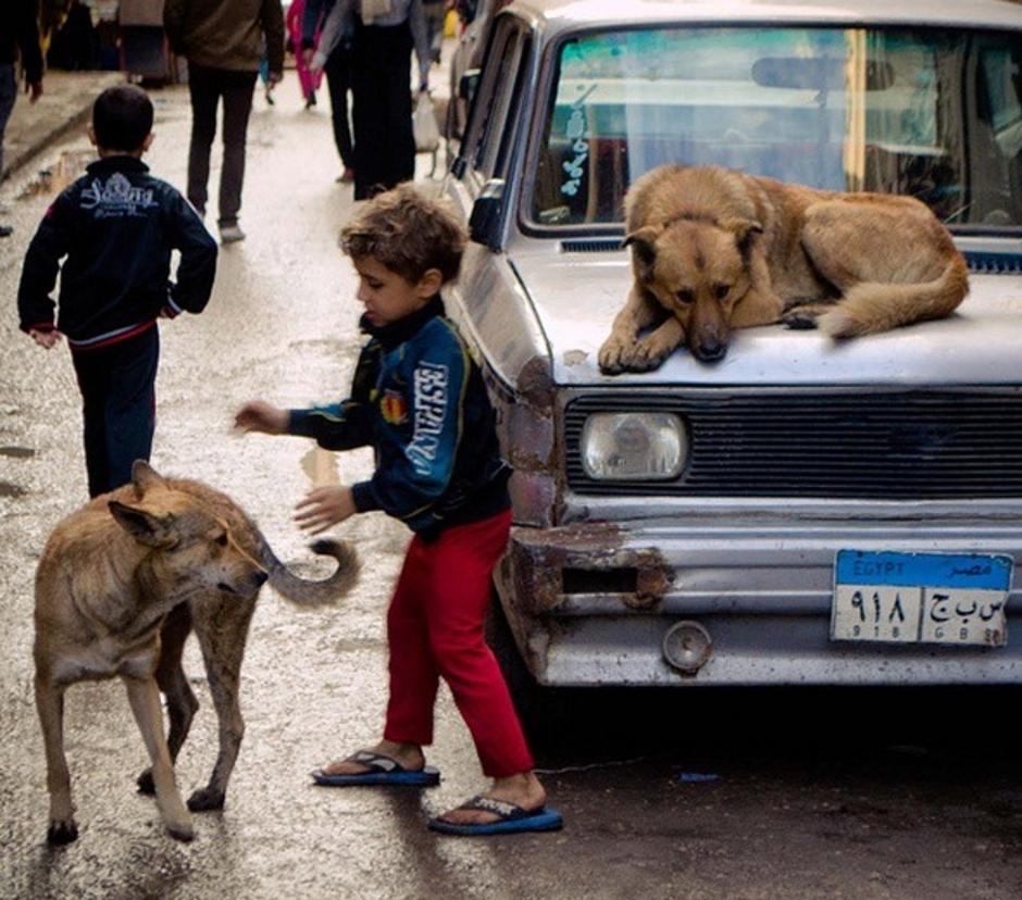 Djeca na ulicama Kaira | Author: Instagram