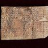 Babilonska glinena pločica star 3700 godina i dr. Daniel Mansfield iz Sydneyja
