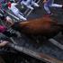 San Fermin festival in Pamplona