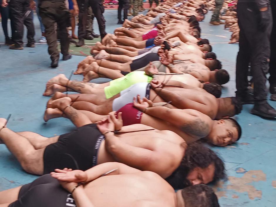 796485379 | Author: Profimedia