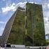 Vertical greening in Medellín