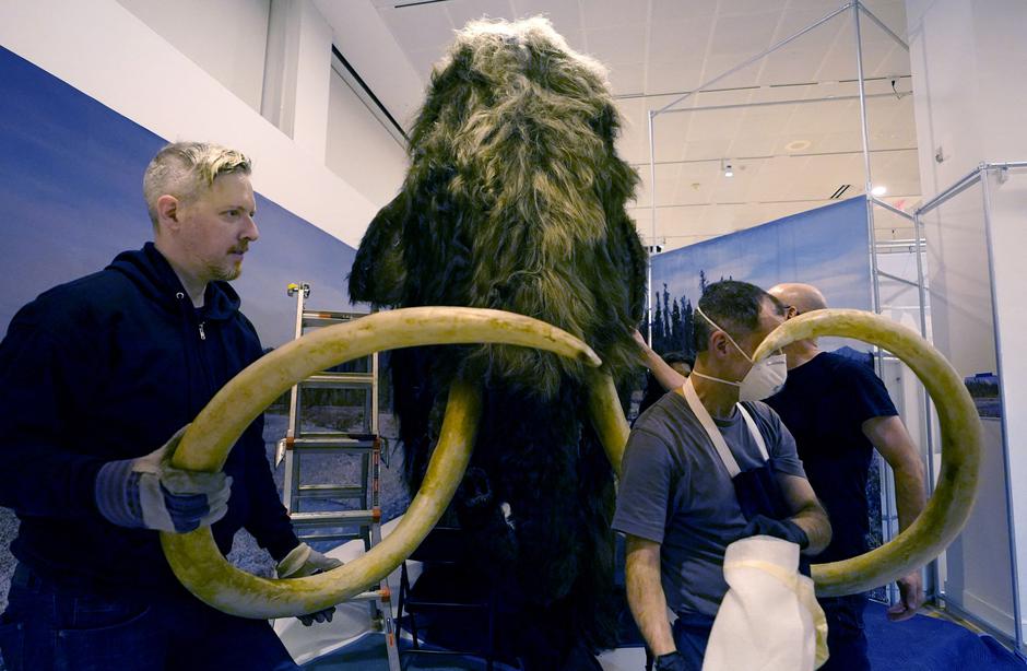  | Author: Profimedia