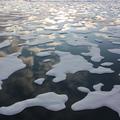Klimatske promjene utječu na ubrzano otapanje vječnog leda