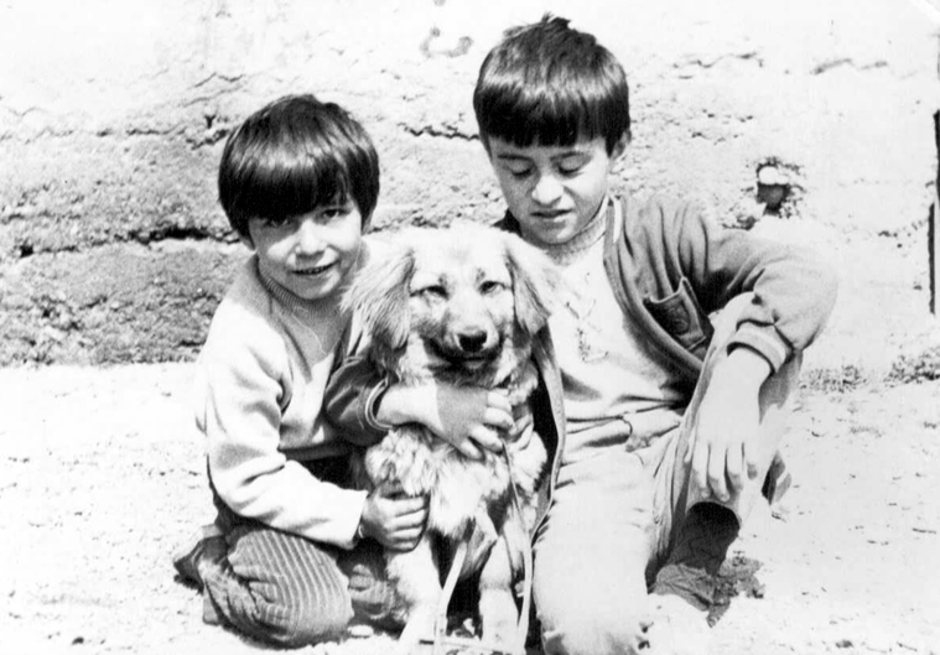 Predrag Matić i brat sa psom kojeg su našli u kanalu | Author: Express