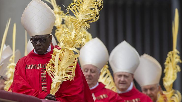 ITALY -  PALM SUNDAY ,ASS IN THE VATICAN  - 2025/4/13