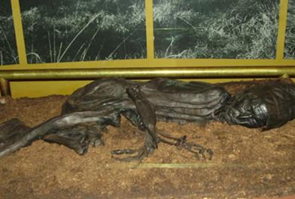 Tisućama godina staro tijelo čovjeka iz Tollunda