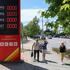 Fuel shortages in Crimea amid Russia-Ukraine conflict
