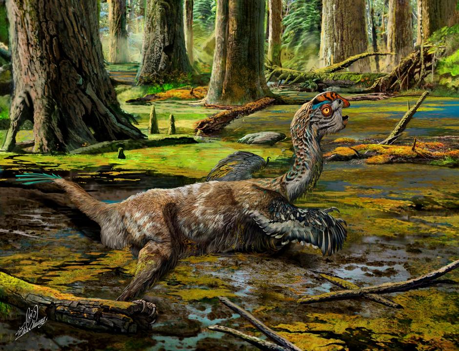 Tongtianlong limosus, dinosaur pronađen u Kini, bliski rođak ptica | Author: Handout/REUTERS/PIXSELL