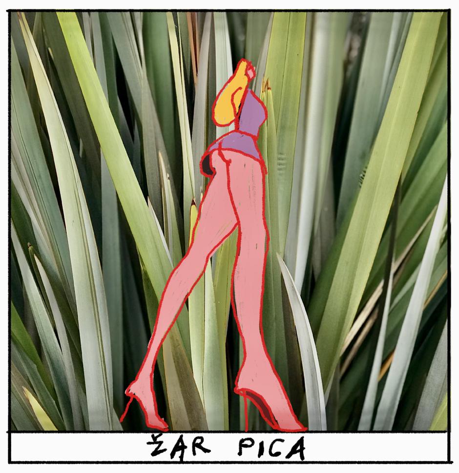 IMG_2587 | Author: Privatna arhiva