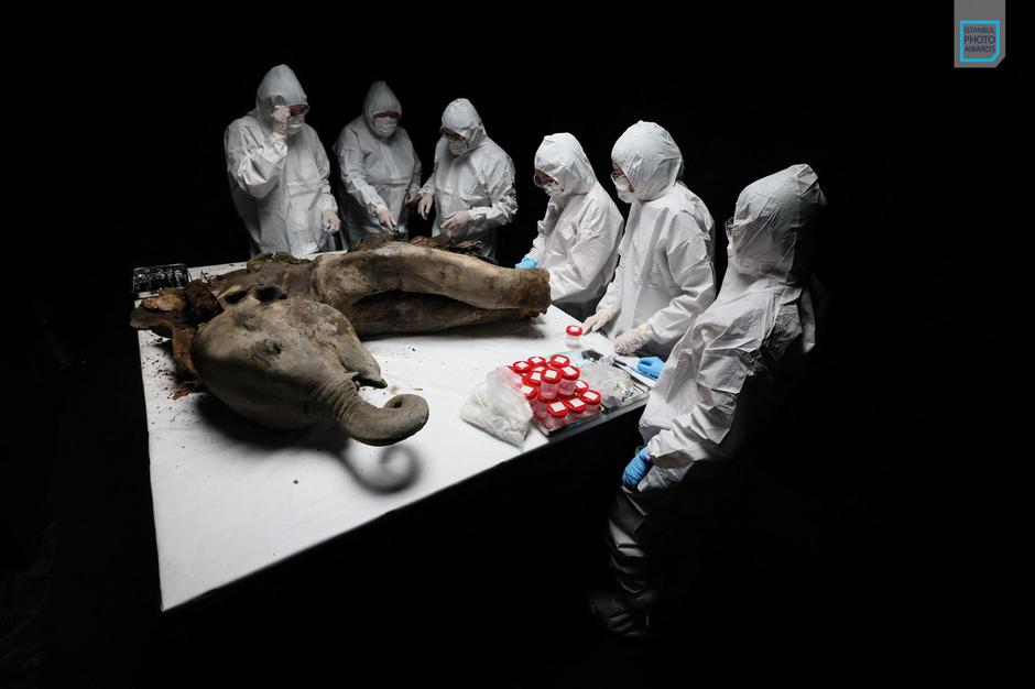 1087411214 | Author: Olesya Kurpyayeva/Profimedia