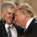 Neil Gorsuch i Donald Trump